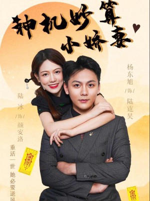 Cô Vợ Nhỏ Thông Minh - 神机妙算小娇妻 (2025)